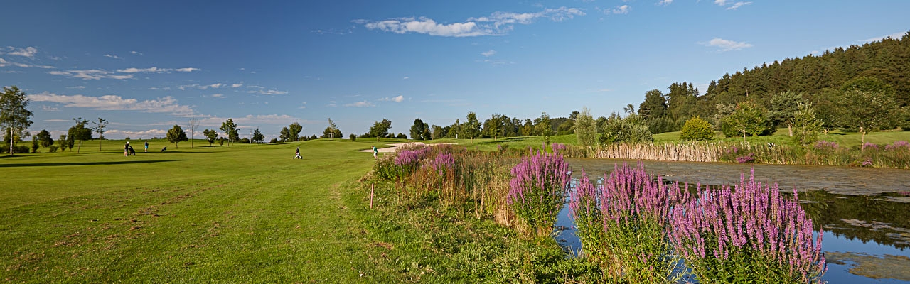 Sommer Golfpark Waldkirch